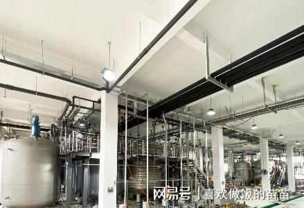 免疫細胞缺陷或可加速3倍衰老 西班牙科學家揭示衰老新機制