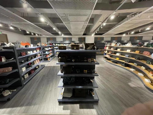 馬可 從電視臺主持人到網絡主播的進化和順應