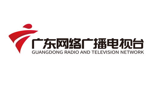 廣東網絡廣播電視臺簡介